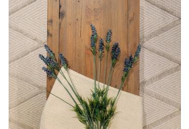 Why Eco Matters MATTER 