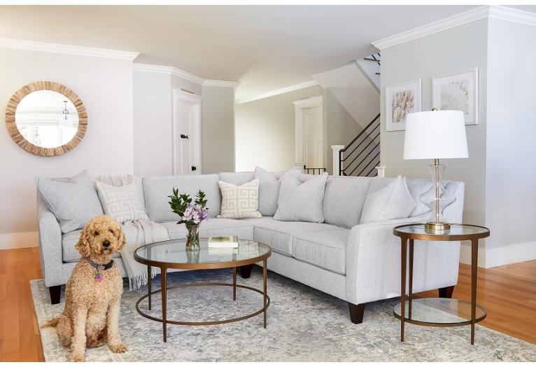 A Guide to Pet-Friendly Upholstery