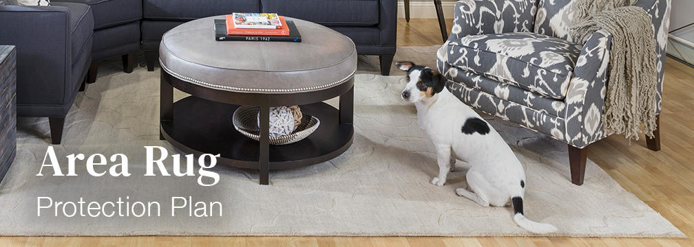 Area Rug protection plan