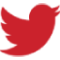 Twitter Icon